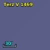 Terz V 1469