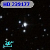 HD 239177