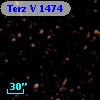 Terz V 1474