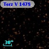 Terz V 1478