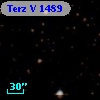 Terz V 1489
