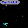 Terz V 1616