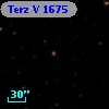 Terz V 1675