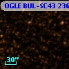 OGLE BUL-SC43 236508
