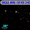 OGLE BUL-SC43 242882