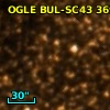 OGLE BUL-SC43 369264