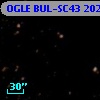 OGLE BUL-SC43  20241