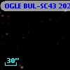 OGLE BUL-SC43  20247