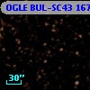 OGLE BUL-SC43 167442