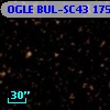 OGLE BUL-SC43 175914