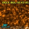 OGLE BUL-SC43  81610