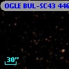 OGLE BUL-SC43 446141