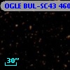 OGLE BUL-SC43 460239