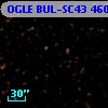 OGLE BUL-SC43 460267