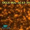 OGLE BUL-SC43 341453