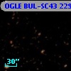 OGLE BUL-SC43 229217