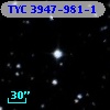 TYC 3947-981-1