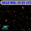OGLE BUL-SC43 175963