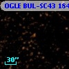 OGLE BUL-SC43 184269