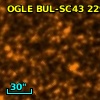 OGLE BUL-SC43 229183