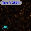 Terz V 2804