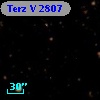 Terz V 2807