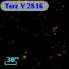 Terz V 2816