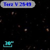 Terz V 2849