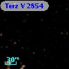 Terz V 2854