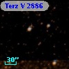 Terz V 2886