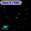 Terz V 2895