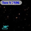 Terz V 2896