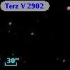 Terz V 2902