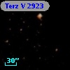 Terz V 2923