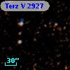Terz V 2927
