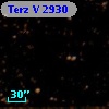 Terz V 2930
