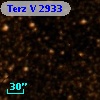 Terz V 2933