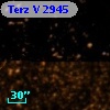 Terz V 2945