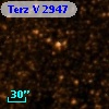 Terz V 2947