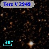 Terz V 2949