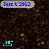Terz V 2952