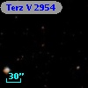 Terz V 2954