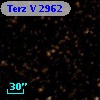 Terz V 2962