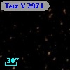 Terz V 2971