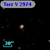 Terz V 2974