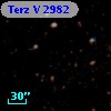 Terz V 2982