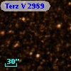 Terz V 2989