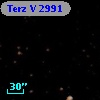 Terz V 2991