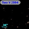 Terz V 2994