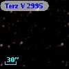 Terz V 2995